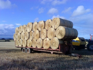 Craig Bothwell's Marshall Bale Trailer Fully-Loaded